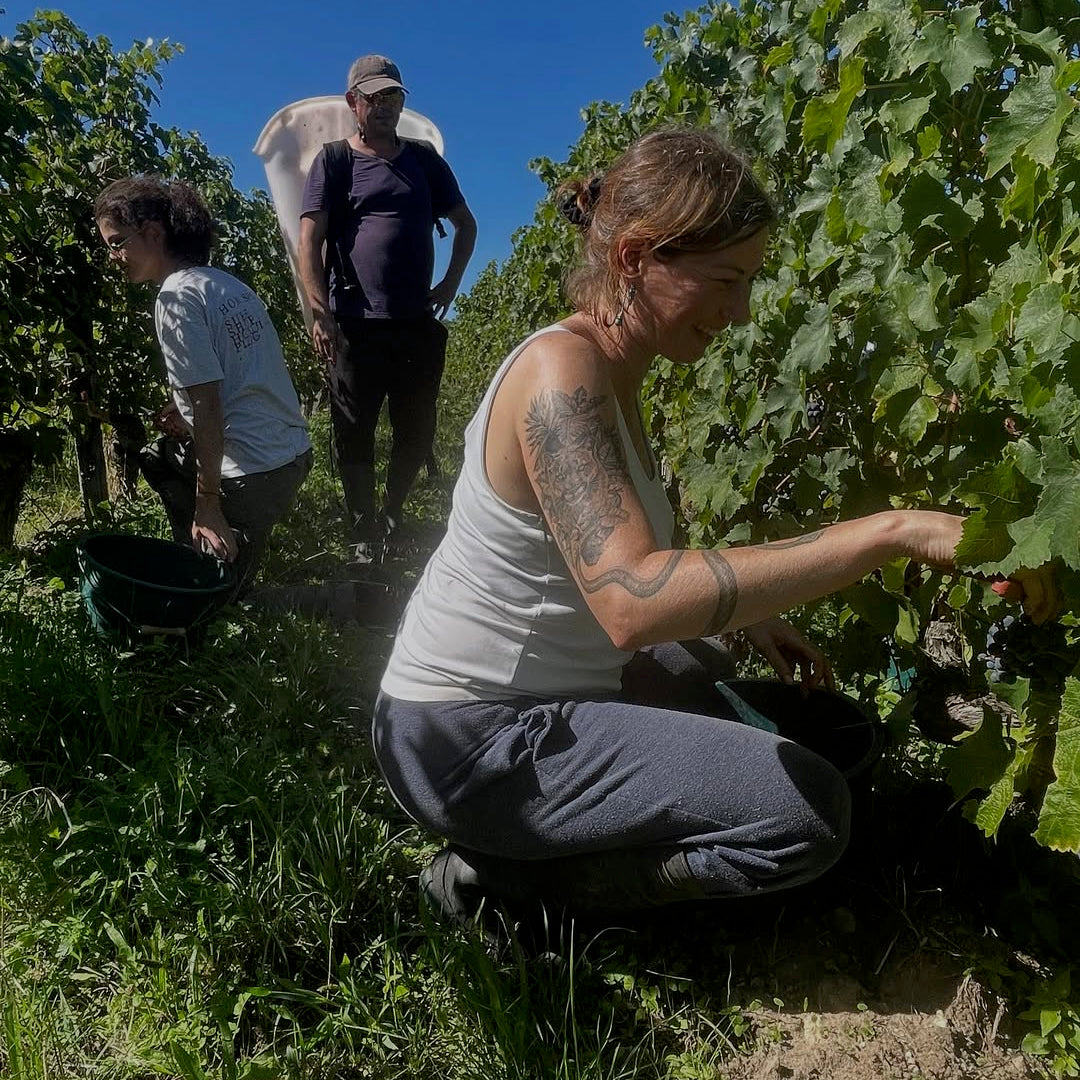 Green Wish 2023 (AOC Saumur-Champigny)