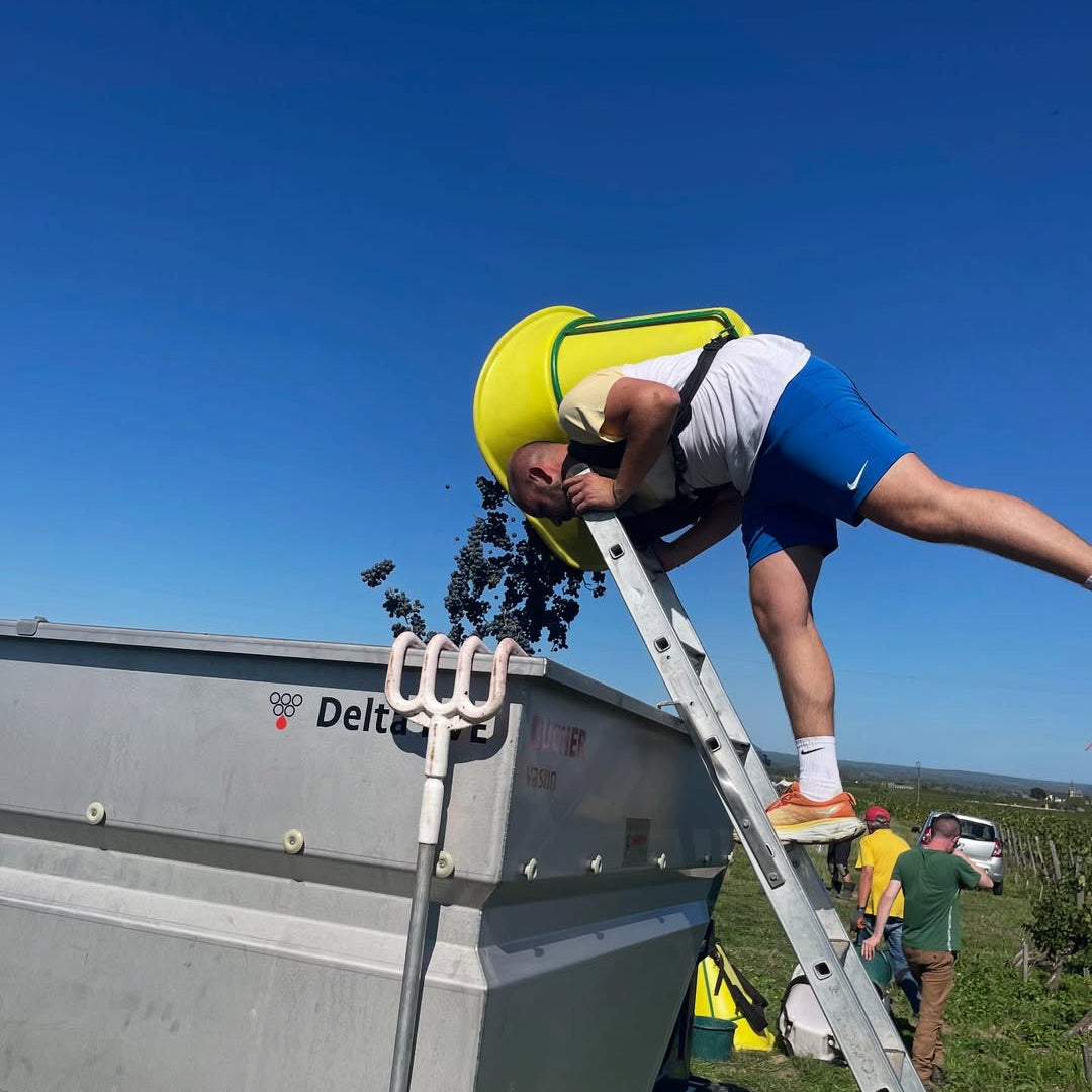 Green Wish 2023 (AOC Saumur-Champigny)