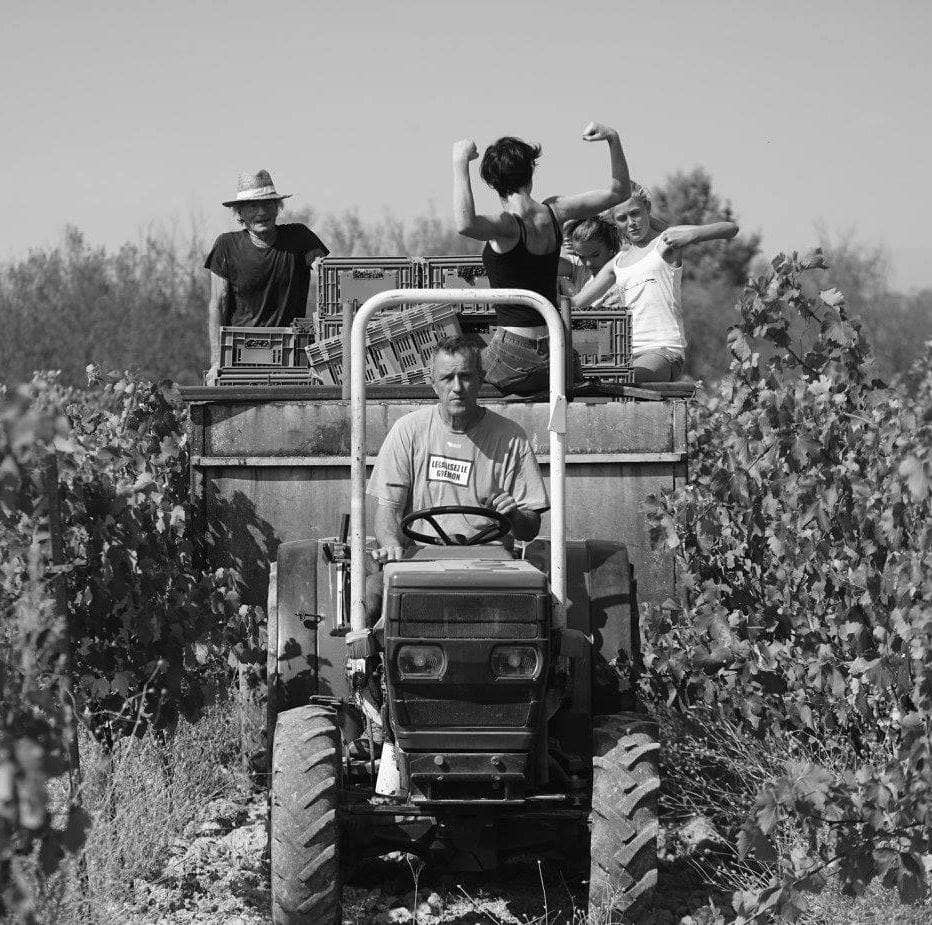 The Notorious BIB 2023 (Vin de France)