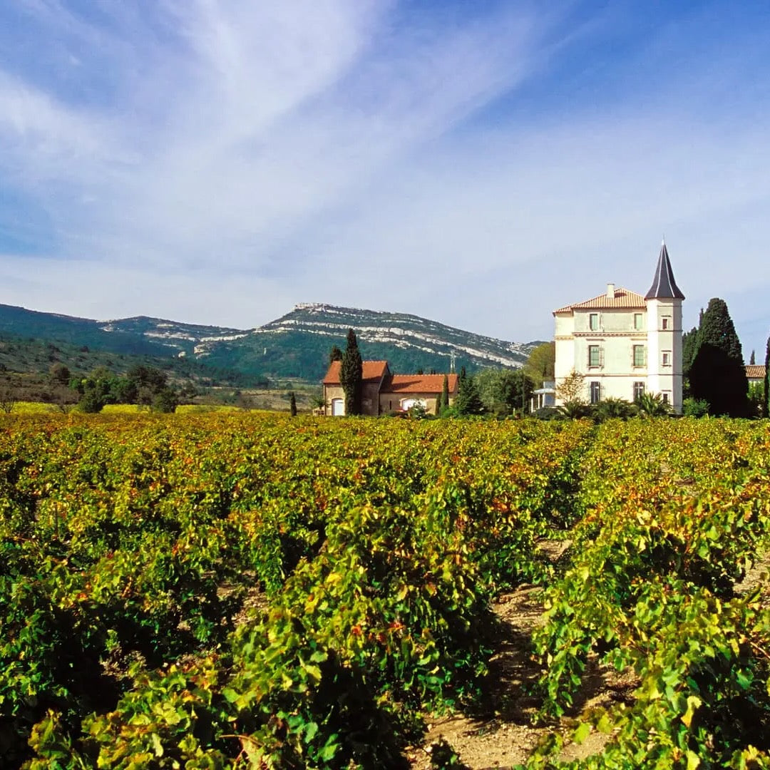 Sur la route 2023 (Vin de France)