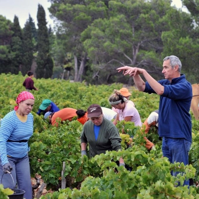 Sur la route 2023 (Vin de France)