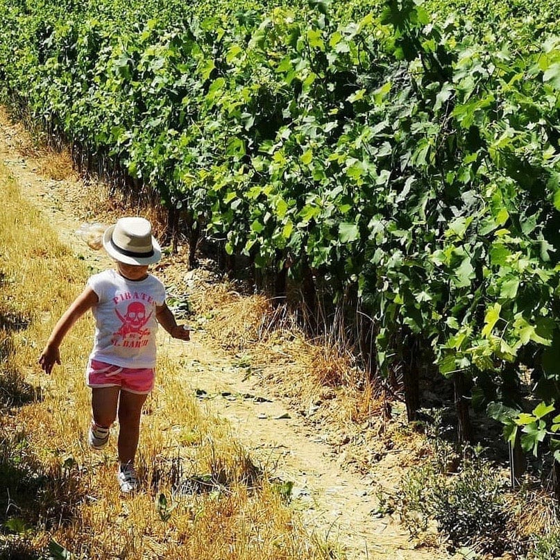 Bob Singlar rosé 2023 (Vin de France)