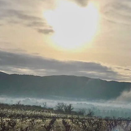 Terre de ciel 2024 (IGP Vaucluse)