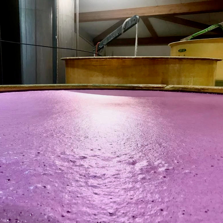 Terre de ciel 2024 (IGP Vaucluse)