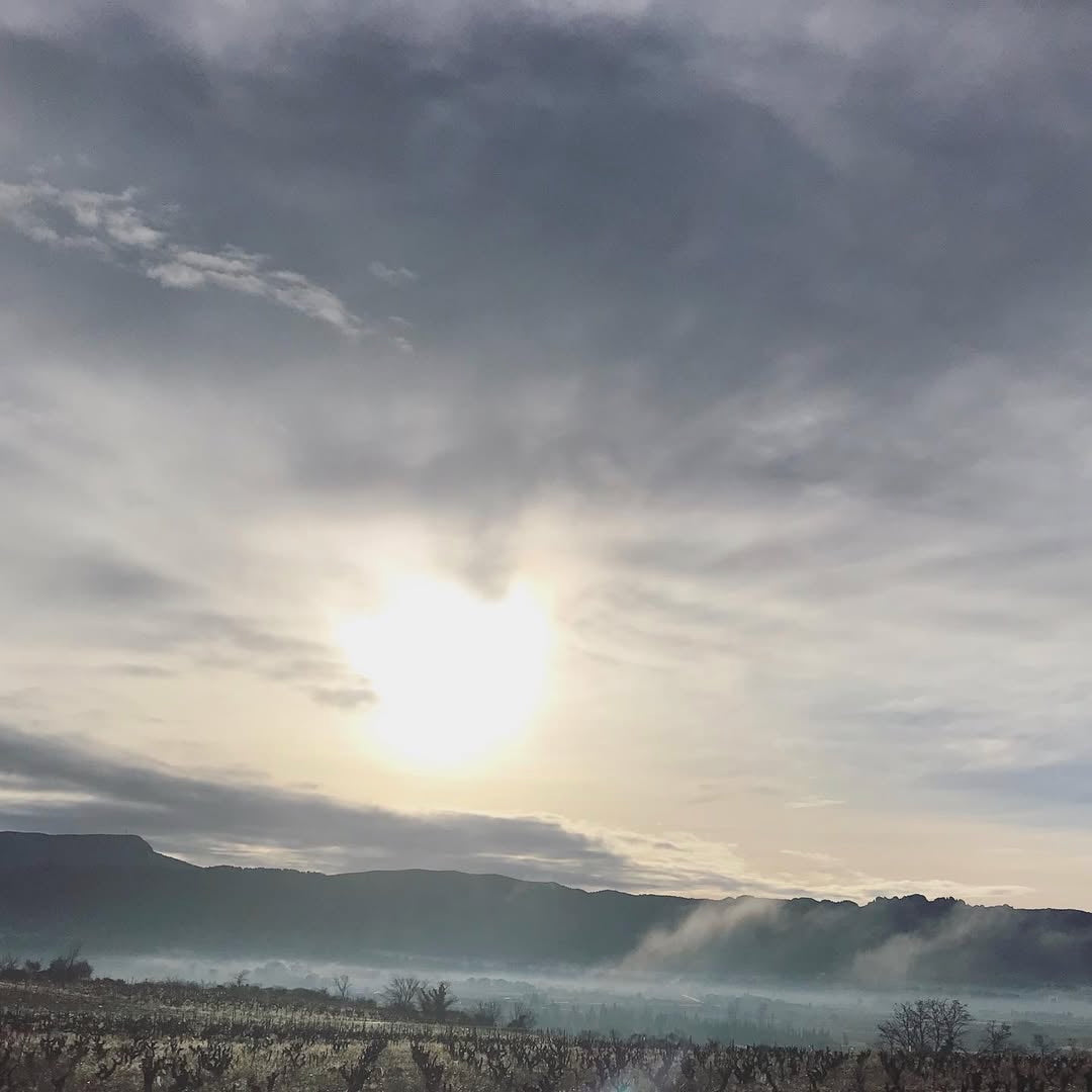 Terre de ciel 2024 (IGP Vaucluse)