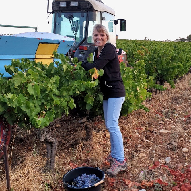 Terre de ciel 2024 (IGP Vaucluse)