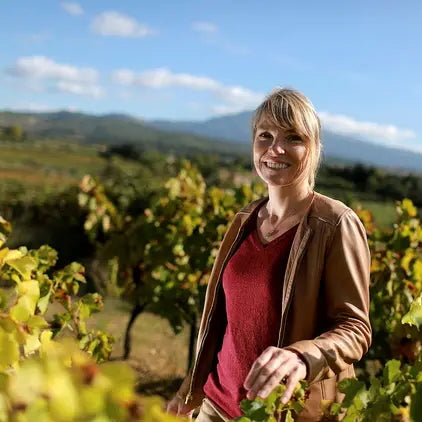 Terre de ciel 2024 (IGP Vaucluse)