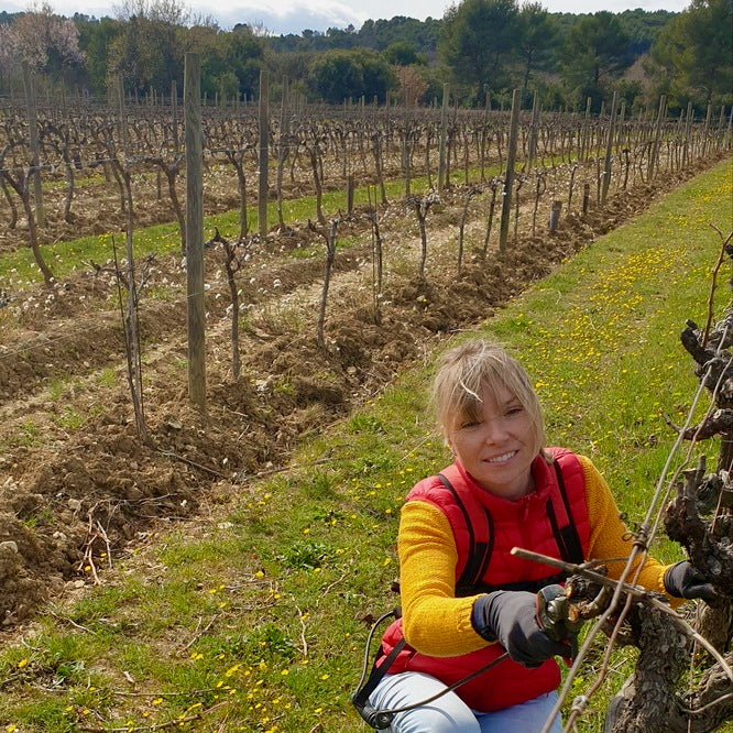 Terre de ciel 2024 (IGP Vaucluse)