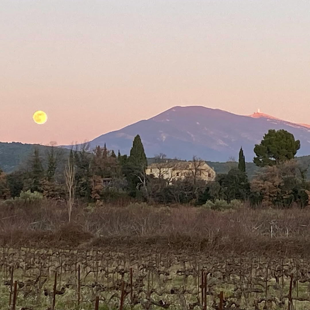 Terre de ciel 2024 (IGP Vaucluse)