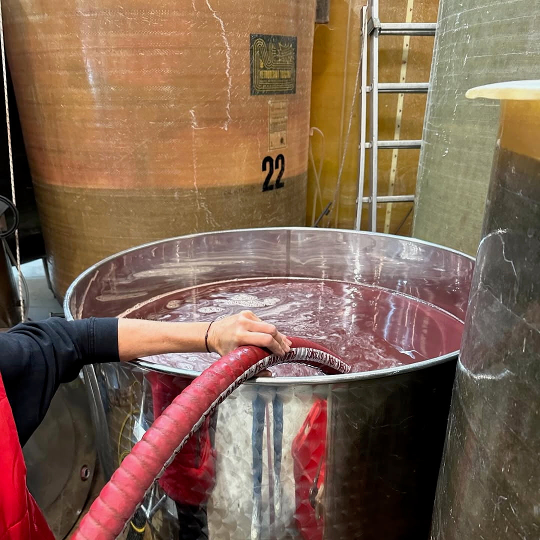 Terre de ciel 2024 (IGP Vaucluse)