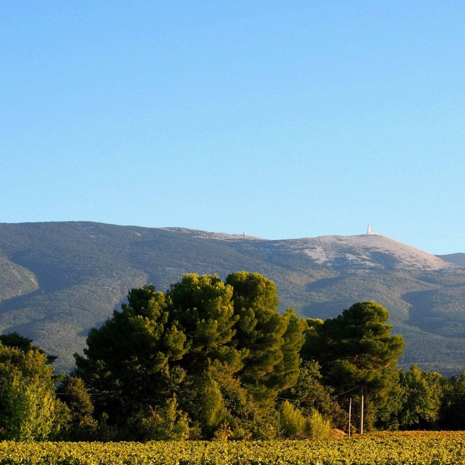 Amphore rosé 2023 (AOC Ventoux)