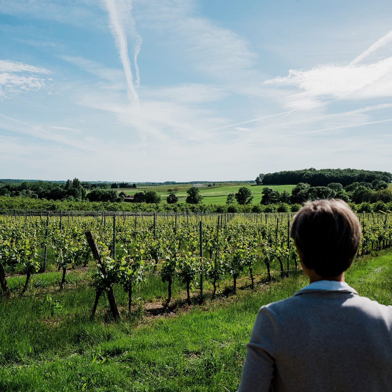  Mauro Guicheney - Corine - sauvignon - Côtes-de-Duras - let it bib - bib - cubi - vin nature - biodynamie - 9 