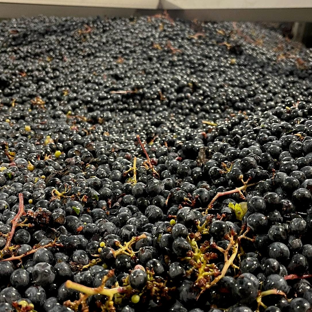  Pierres d'aurèle - let it bib - touraine - côt - pineau d'aunis - chenin - bib bio - cubi bio - cubi vin nature - bib vin nature - 15 