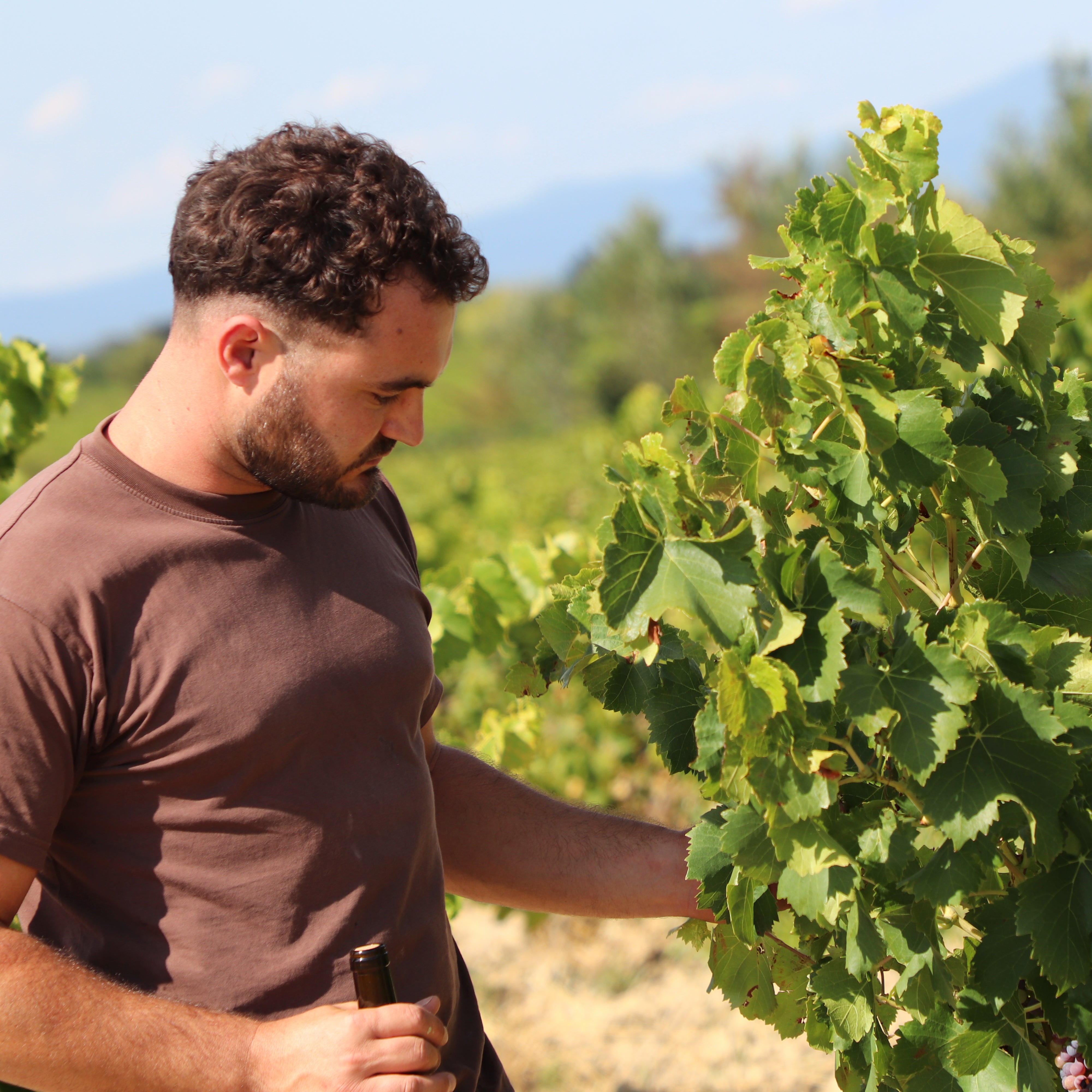 Grain carmin 2023 (AOC Côtes-du-Rhône)