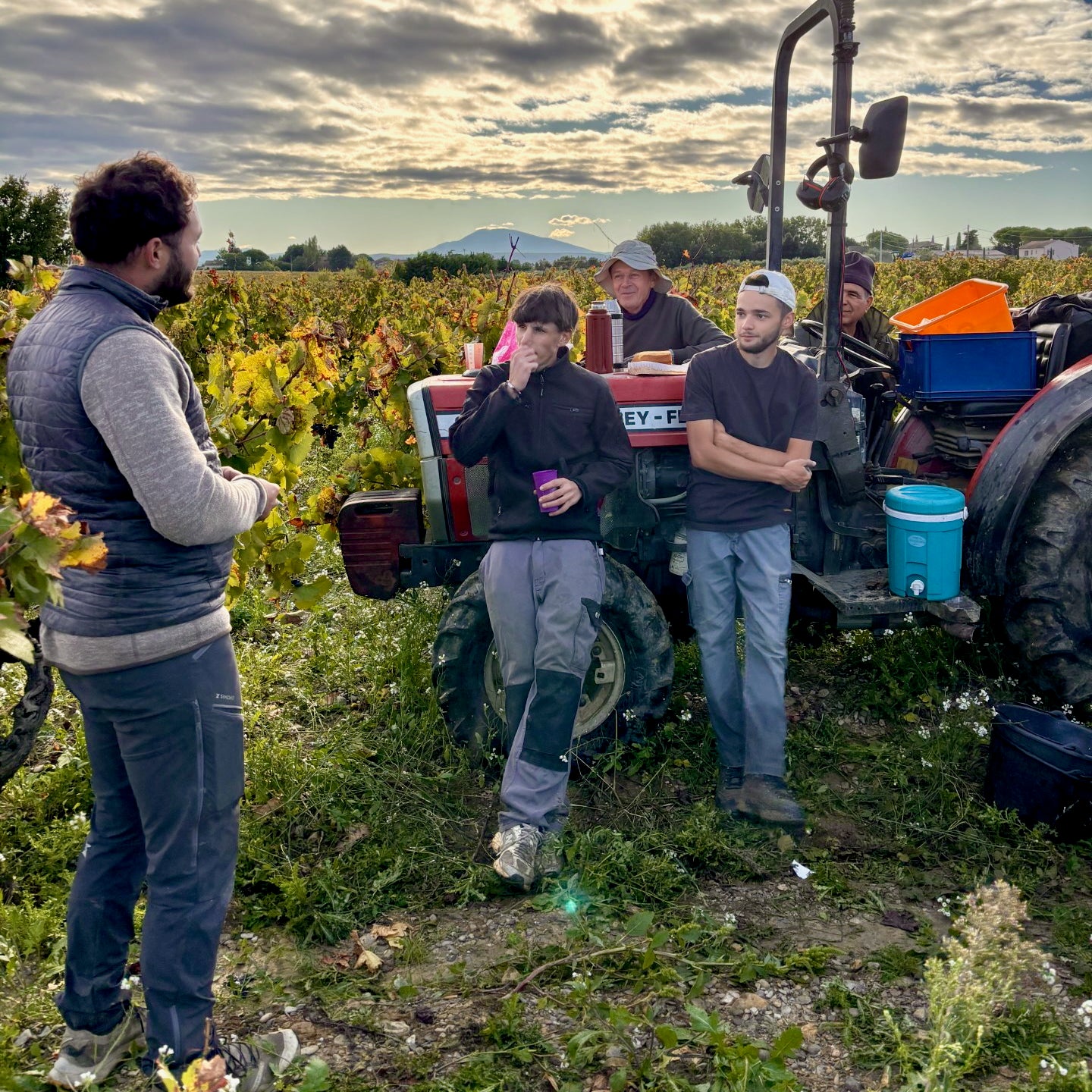Grain carmin 2023 (AOC Côtes-du-Rhône)