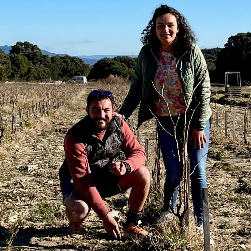 Grain carmin 2023 (AOC Côtes-du-Rhône)