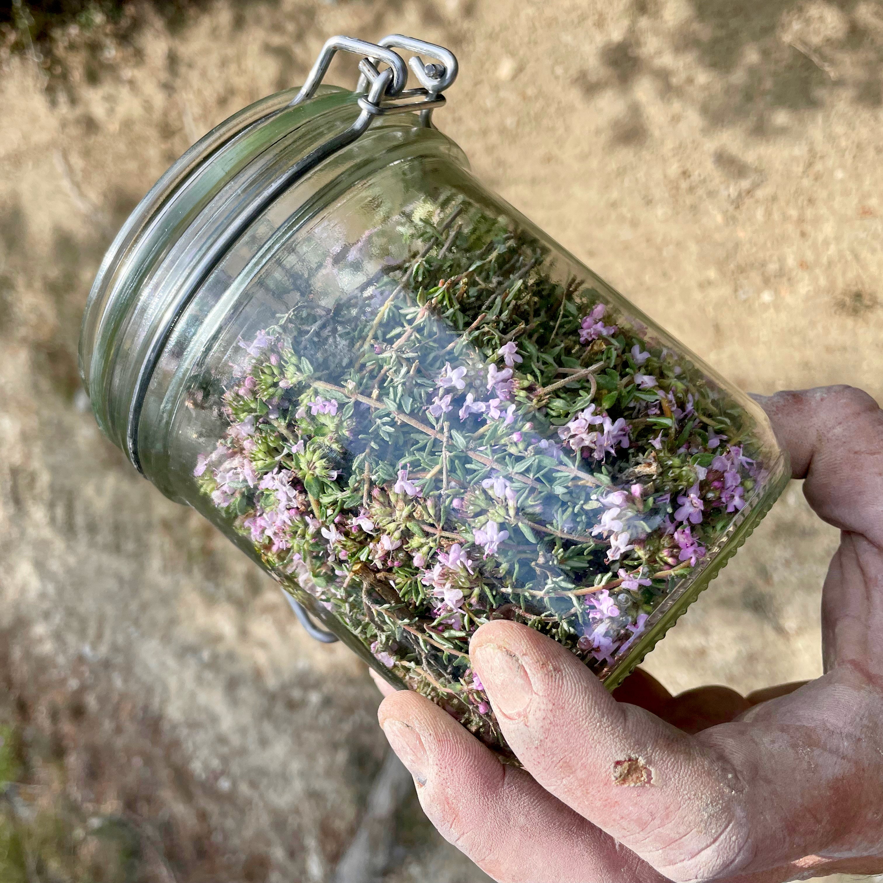 Grain carmin 2023 (AOC Côtes-du-Rhône)