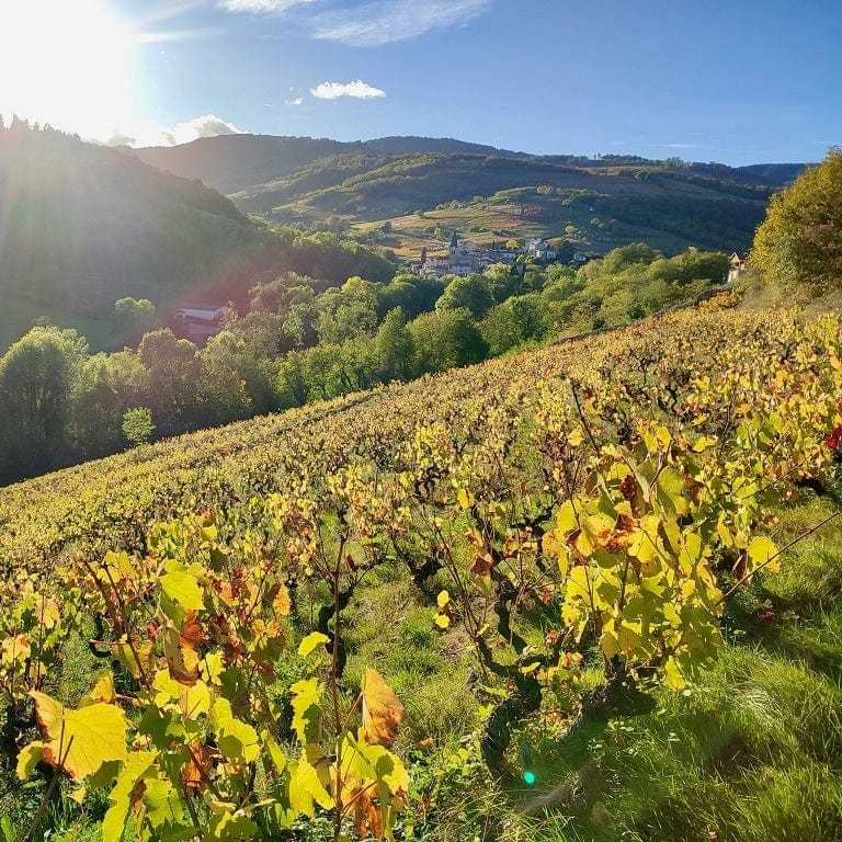  baptiste bertrand-marchampt -beaujolais villages-cubi bio-bib bio-vin nature-let it bib - 1 (1) 