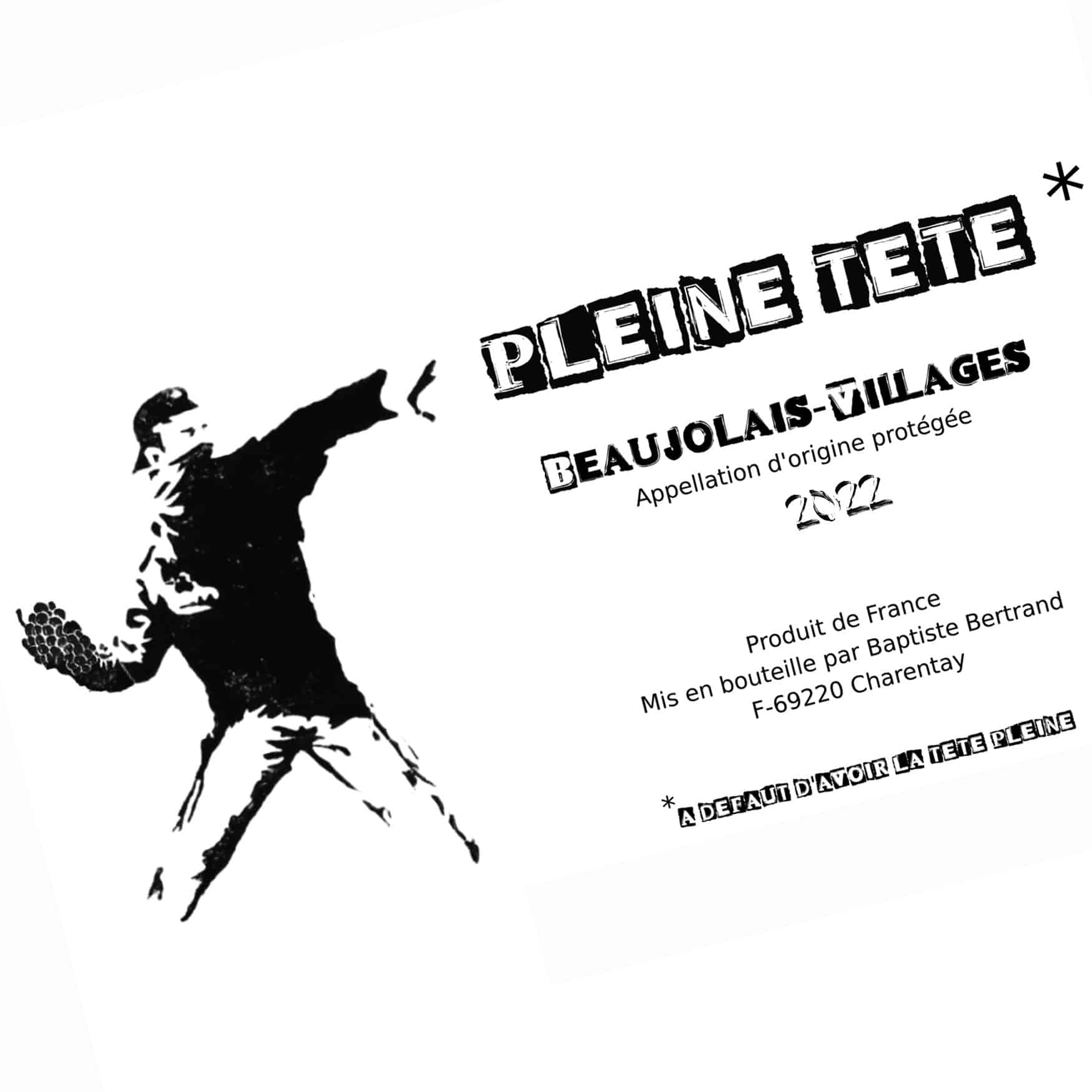 baptiste bertrand-pleine teÌ‚te-beaujolais villages-cubi bio-bib bio-vin nature-let it bib 2 copie 