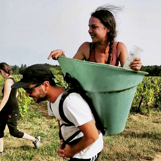 Toublan 2025 (AOC Muscadet)