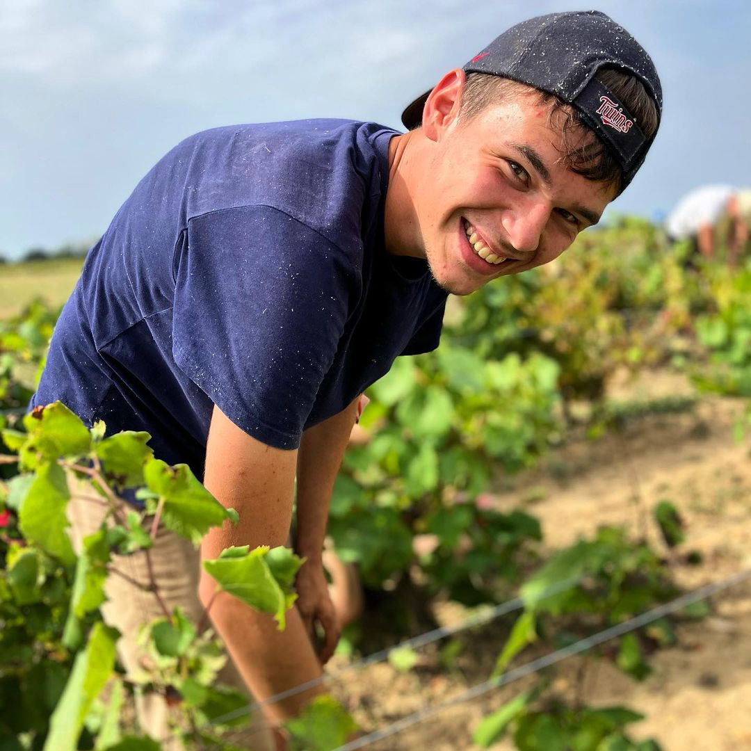 Toublan 2025 (AOC Muscadet)