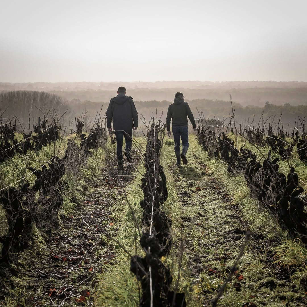 Toublan 2025 (AOC Muscadet)