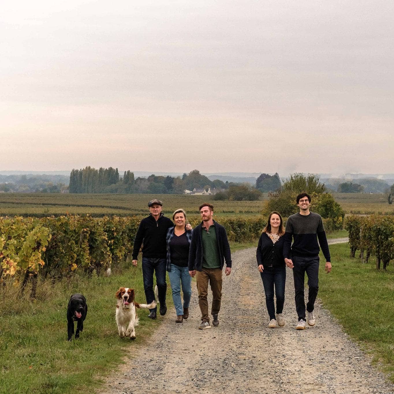  catherine pierre breton - trinch - dilettante - chenin - bourgueil - cubi bio - bib bio - vin nature - 11 