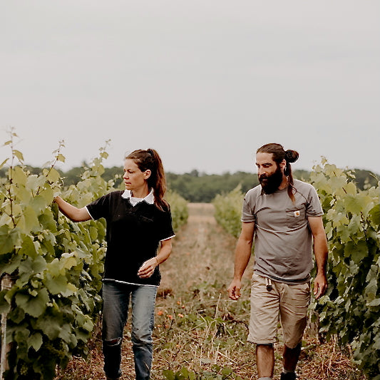Plan cuve 2024 (Vin de France)