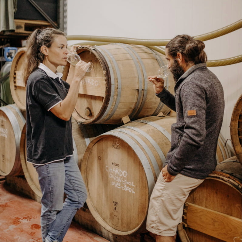 Plan cuve 2024 (Vin de France)