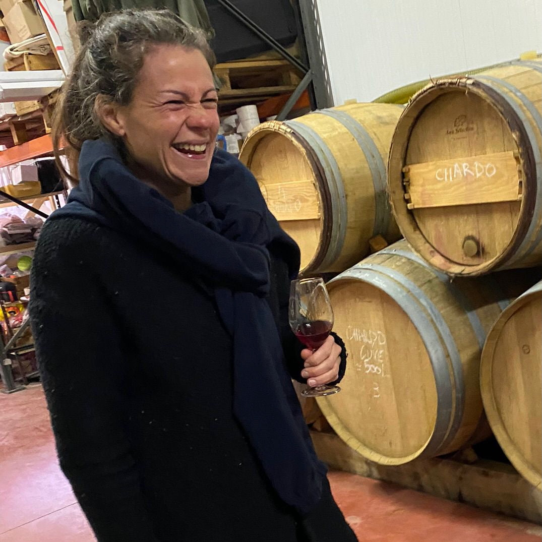 Plan cuve 2024 (Vin de France)