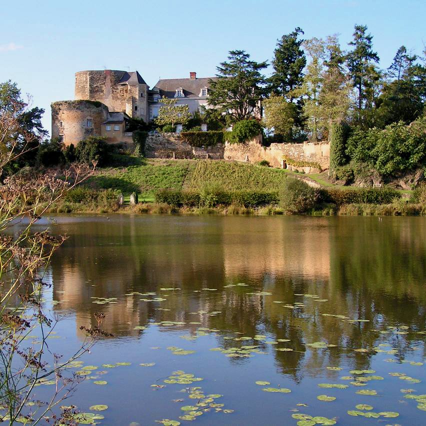  chateau de passavant - lecomte - chenin - anjou - bib bio - cubi bio - vin nature - let it bib - 1 