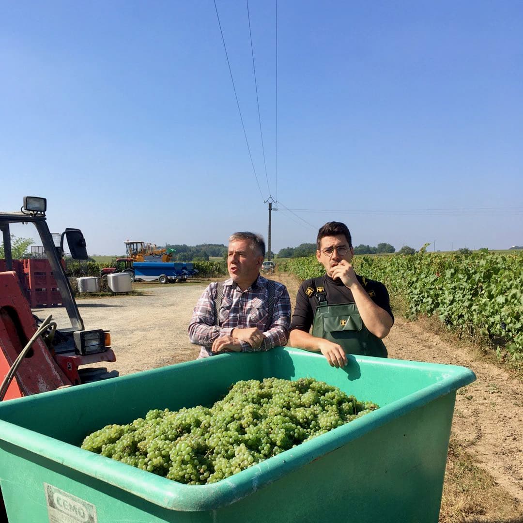  chateau de passavant - lecomte - chenin - anjou - bib bio - cubi bio - vin nature - let it bib - 9 