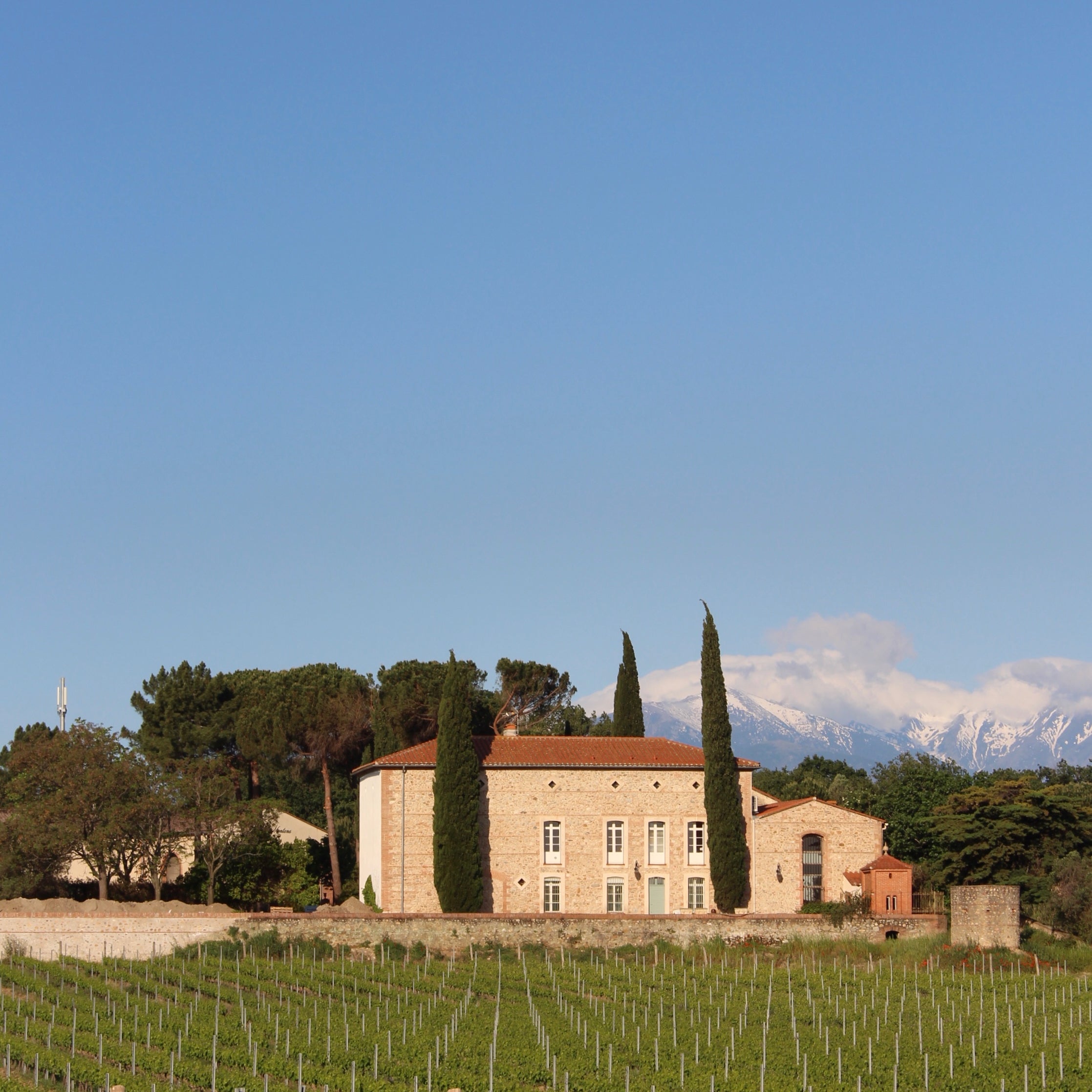 Côtes catalanes (IGP)