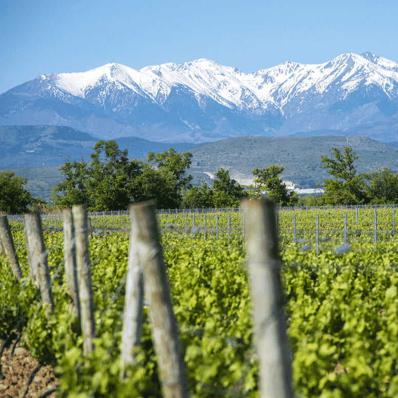Côtes catalanes (IGP)