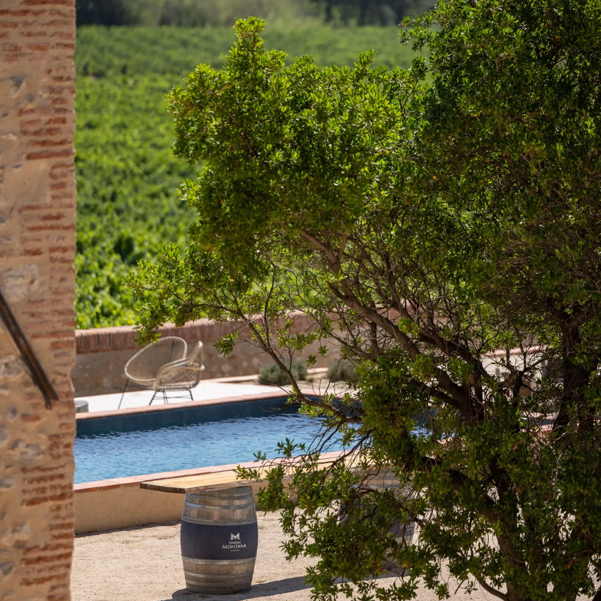 Côtes catalanes (IGP)