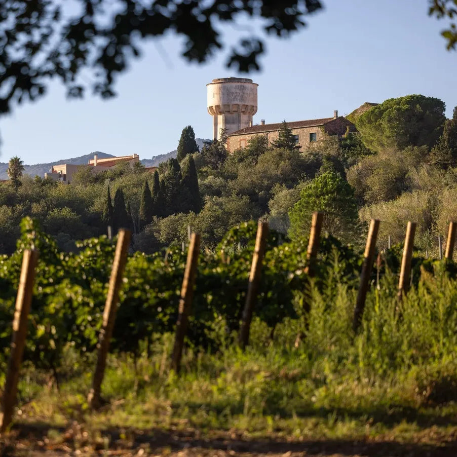 Côtes catalanes (IGP)