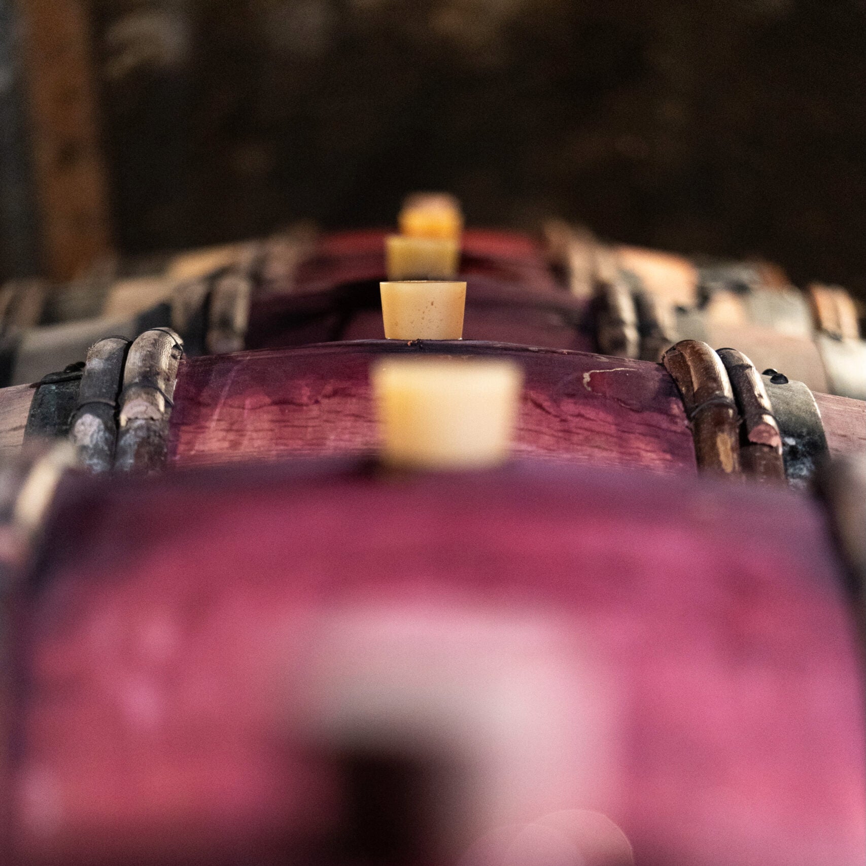 Pinot noir 2024 (IGP Comtés rhodaniens)