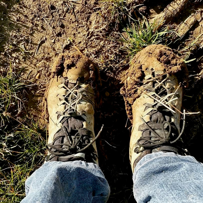 Gourmandise 2024 (AOC Côtes-du-Rhône)