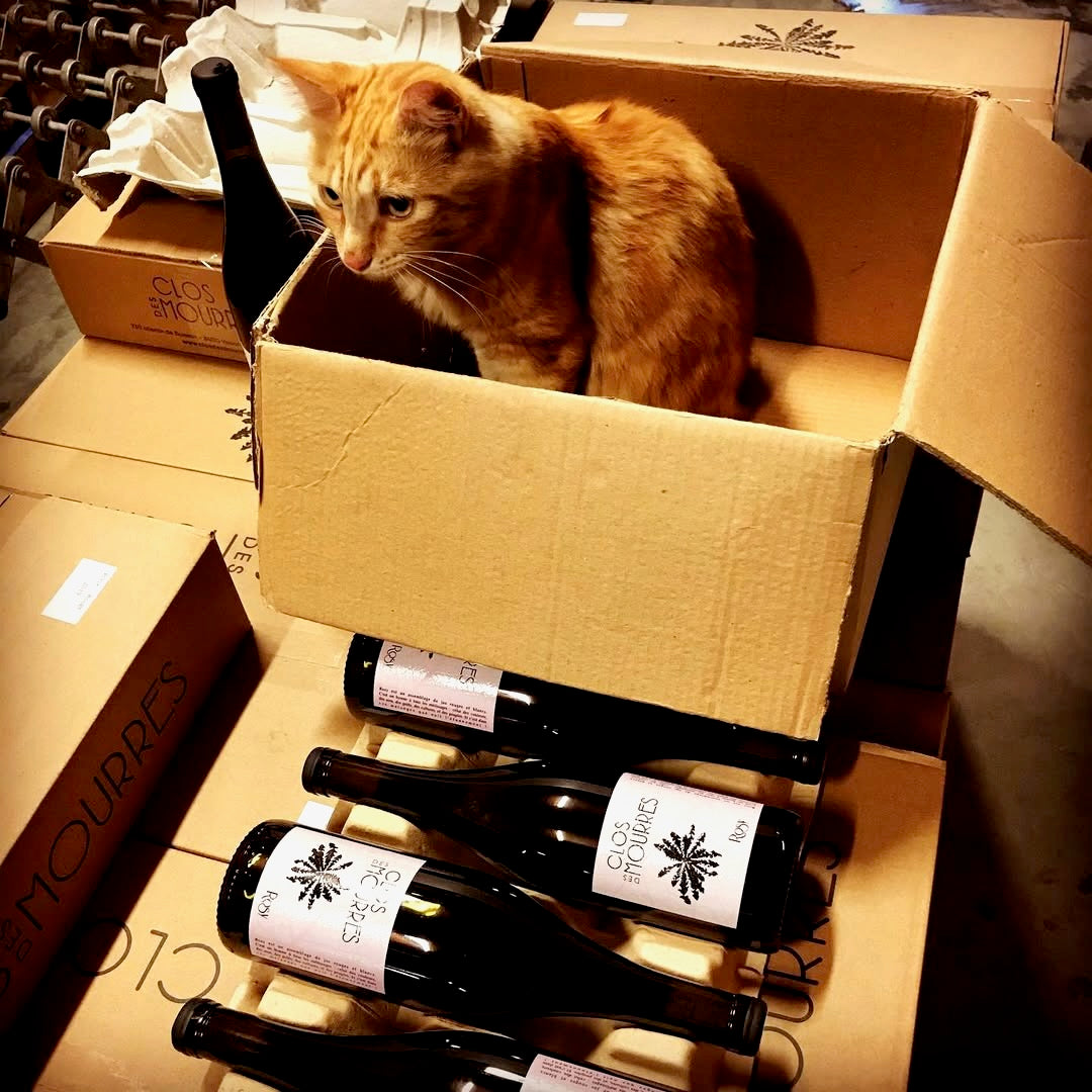 Gourmandise 2024 (AOC Côtes-du-Rhône)