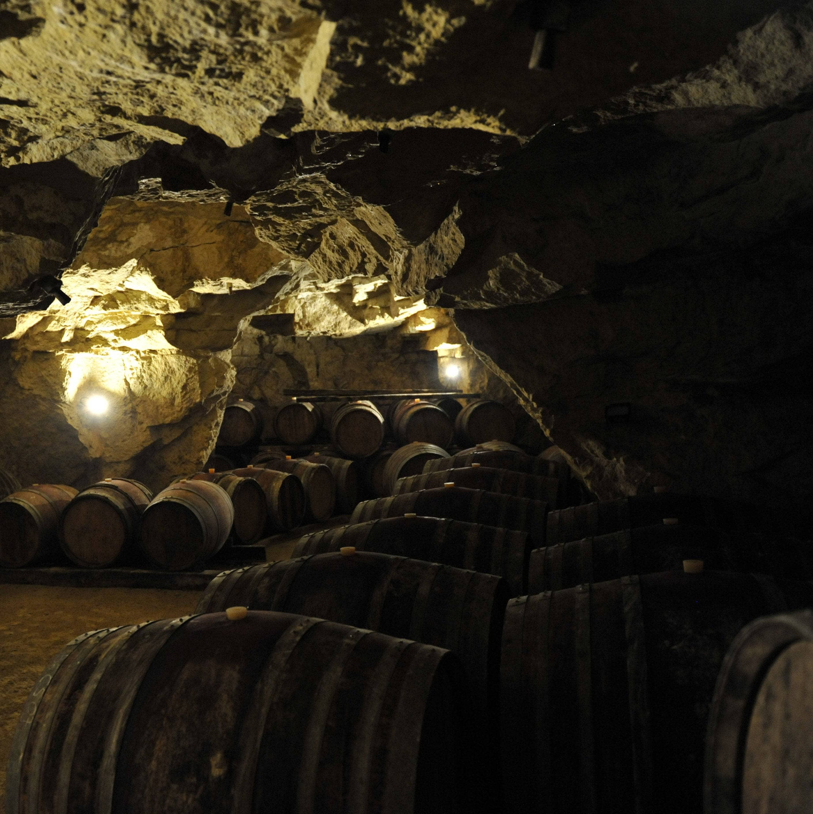  CELLARS OF CATHERINE AND PIERRE BRETON VINEYARD. RESTIGNE-FRANCE. 10-2008 