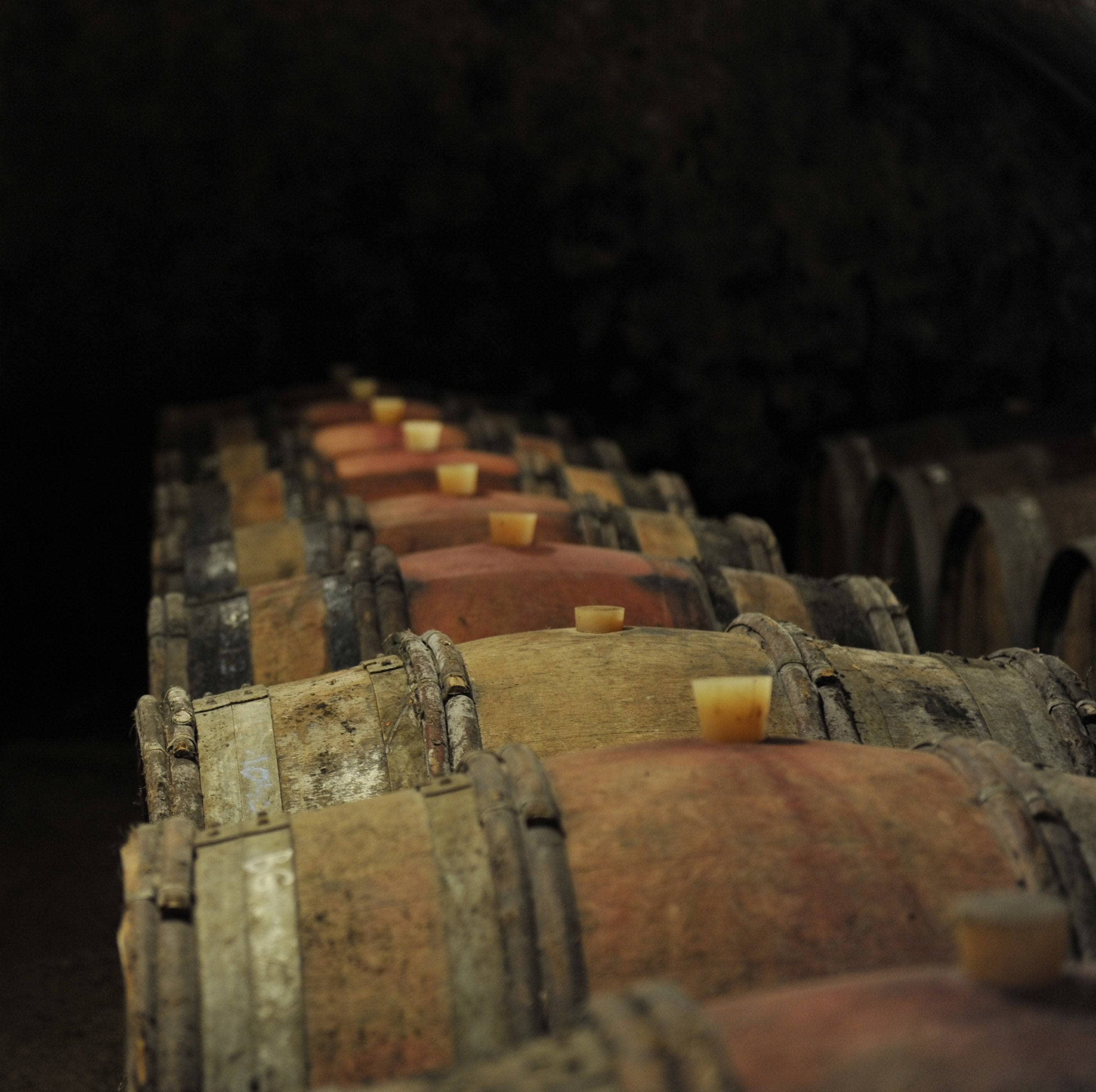  CELLARS OF CATHERINE AND PIERRE BRETON VINEYARD. RESTIGNE-FRANCE. 10-2008 