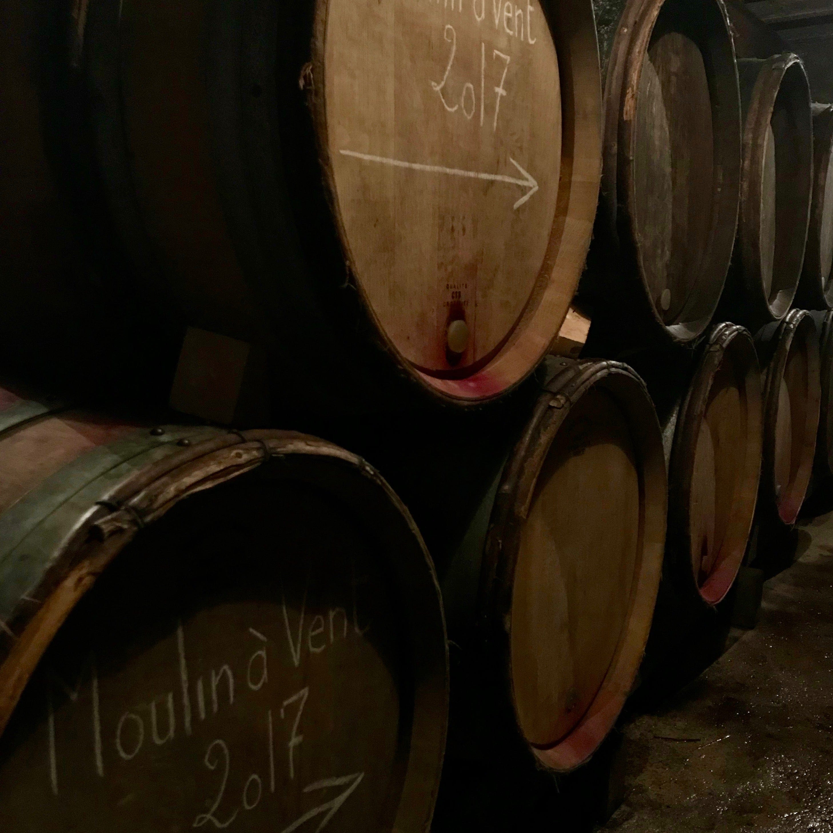  cubi bio - bib bio - christophe pacalet - beaujolais-villages - 2018 4 