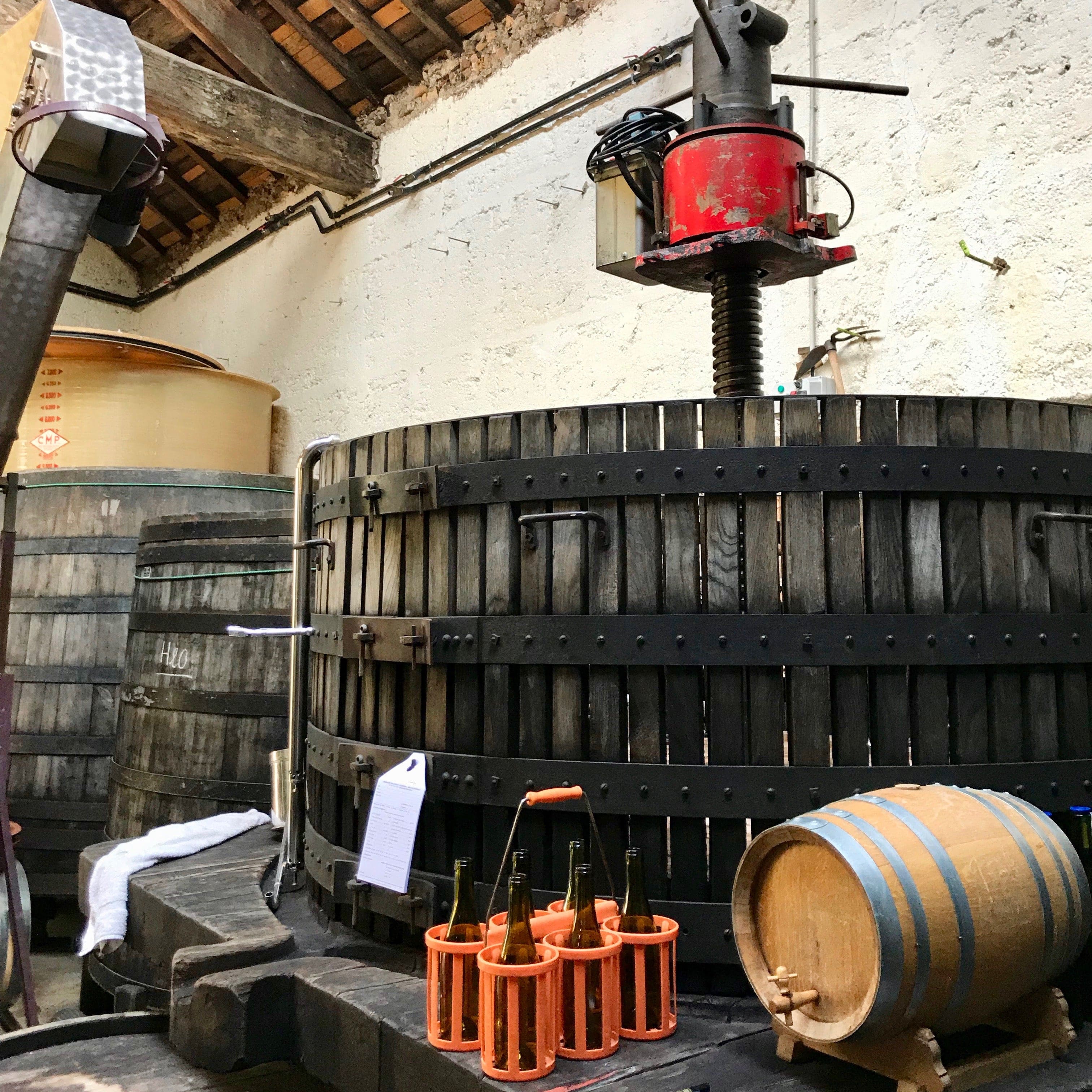  cubi bio - bib bio - christophe pacalet - beaujolais-villages - 2018 9 