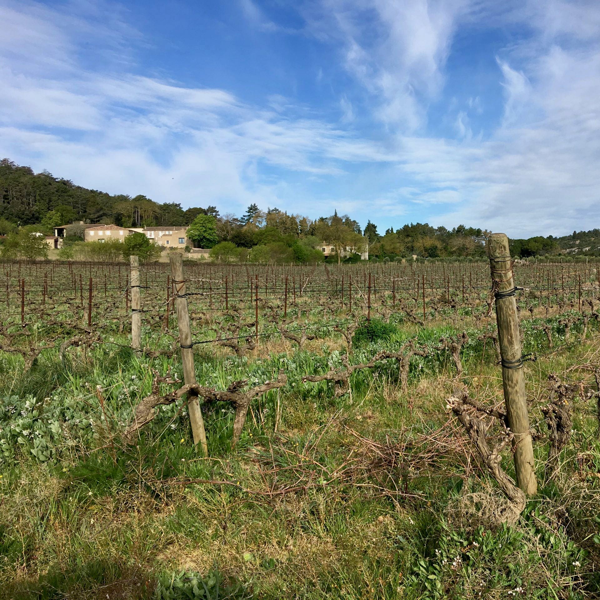 Blanc 2022 (Vin de France)