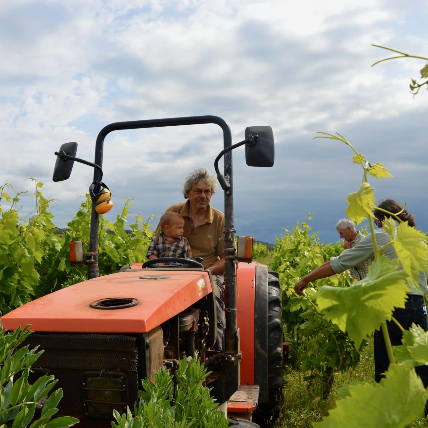  domaine de gabelas - mathieu bartholin - saint-chinian - cubi nature - bib nature - cubi bio - bib bio - let it bib - 10 