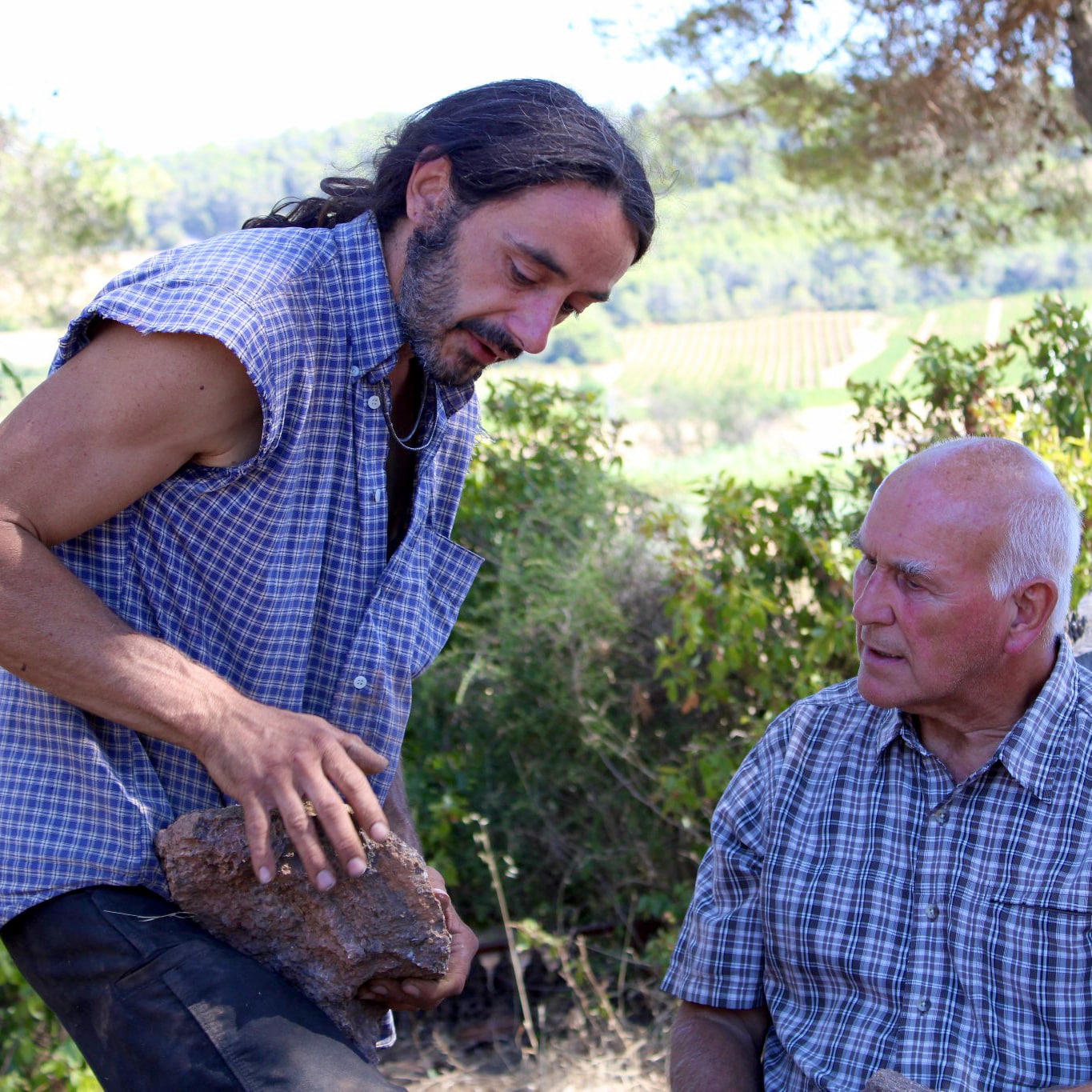  domaine de gabelas - mathieu bartholin - saint-chinian - cubi nature - bib nature - cubi bio - bib bio - let it bib - 8 