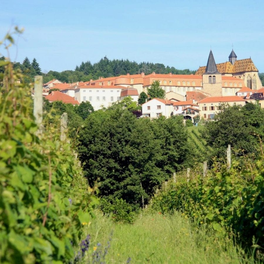  domaine des palais - viognier - let it bib - cubi bio - bib bio - côte roannaise - loire volcanique - vin nature - 8 