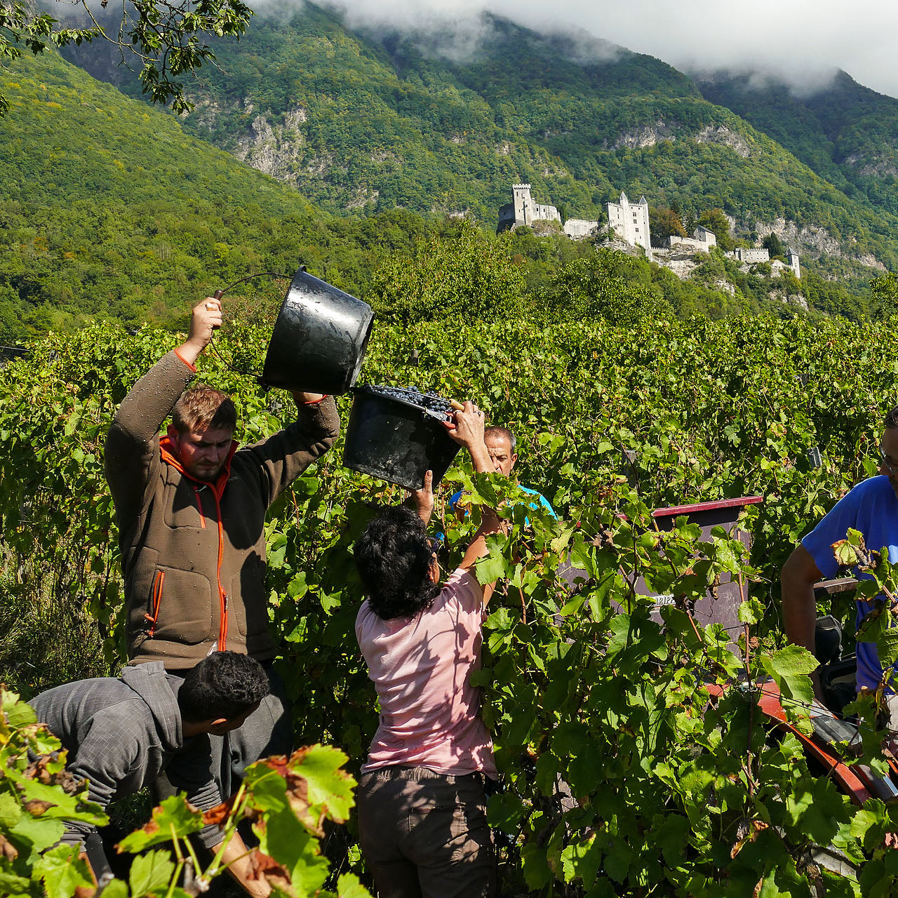 Crac Boum’Bu rouge (AOC Savoie)
