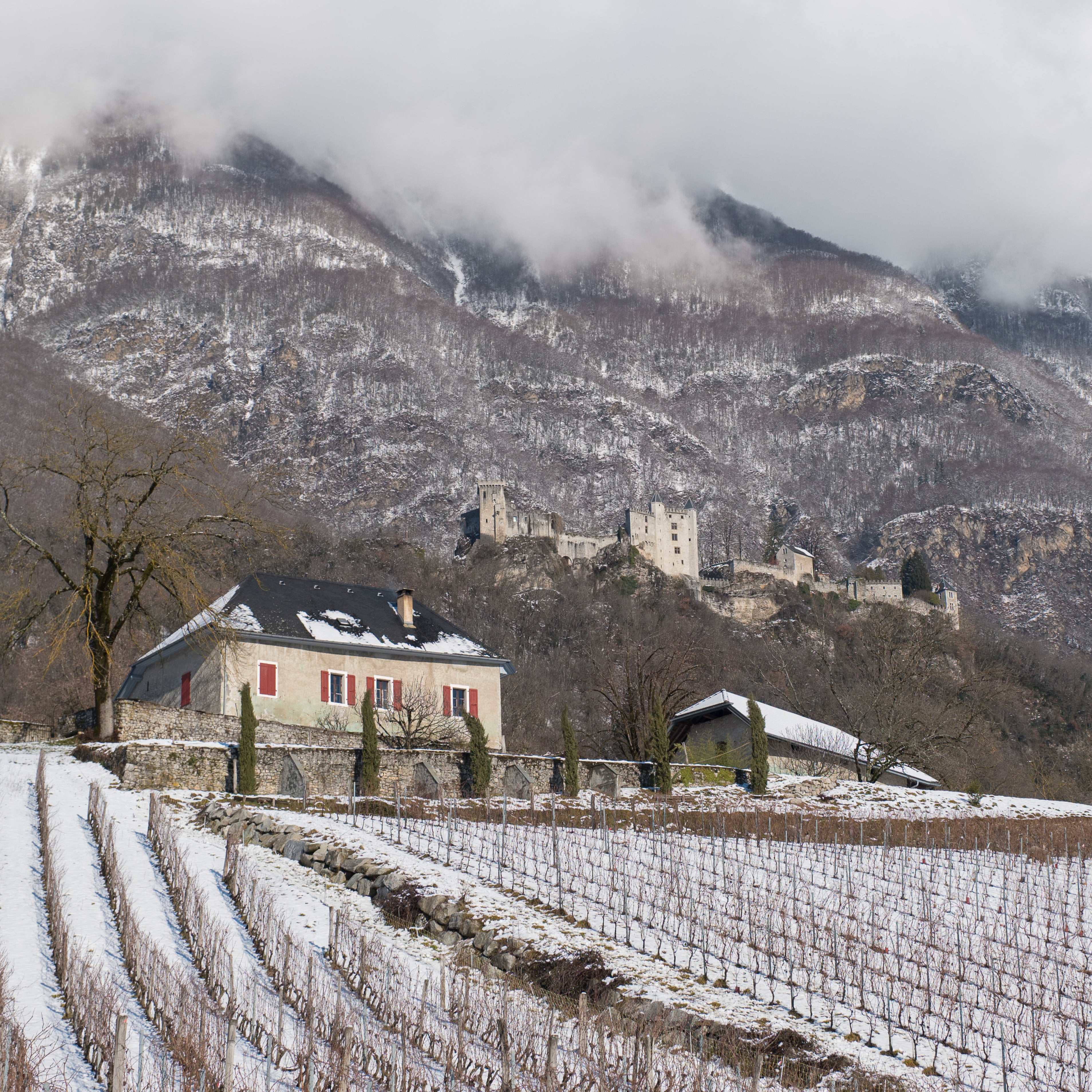 Crac Boum’Bu rouge (AOC Savoie)