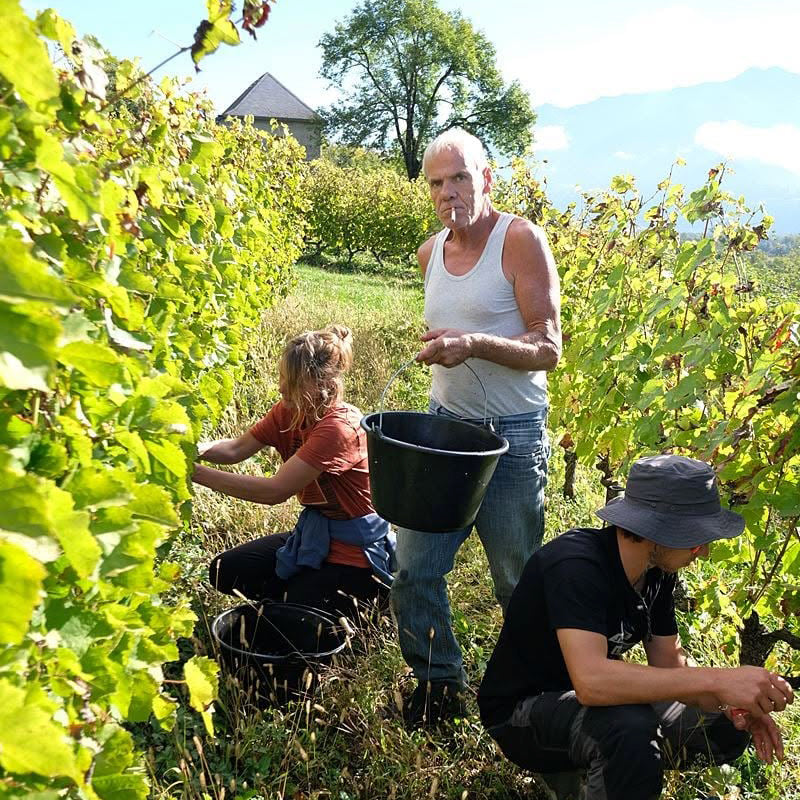 Crac Boum’Bu blanc (AOC Savoie)